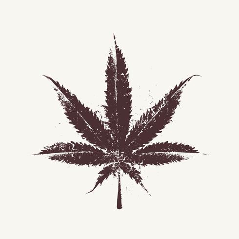 Hoja de marihuana vector