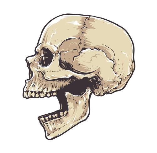 Anatomic Grunge Skull vector
