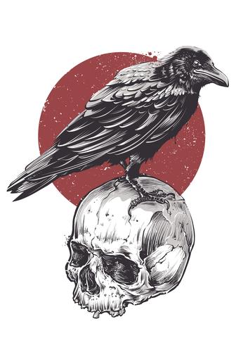 Raven on Skull vector