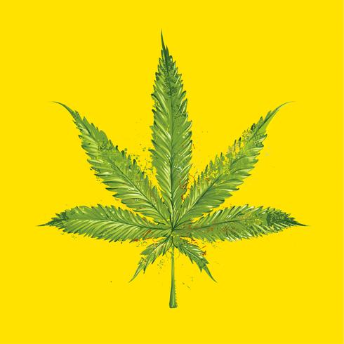 Hoja de marihuana vector