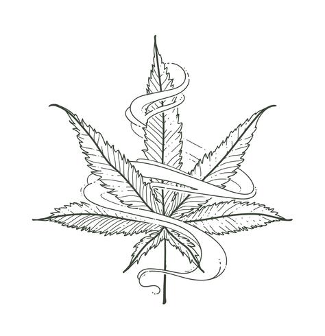 Vector Marijuana Leaf