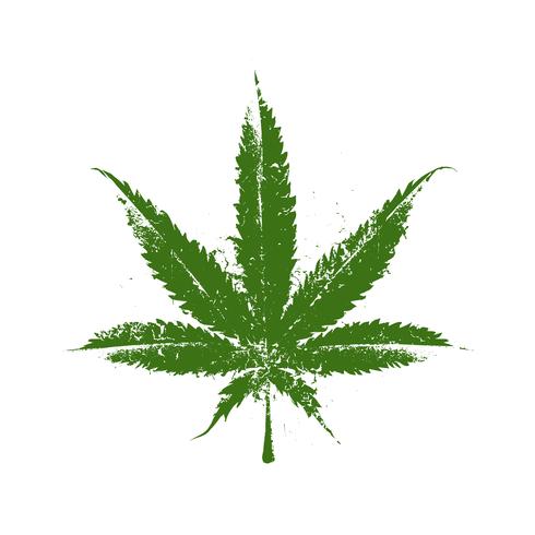 Marijuana Grunge Leaf vector