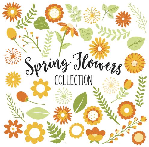 Orange and Yellow Spring Flowers vector