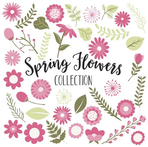 Pink Spring Flowers vector