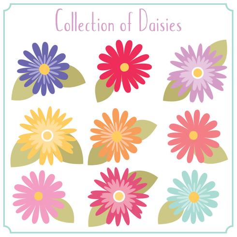 Colorful Daisies vector