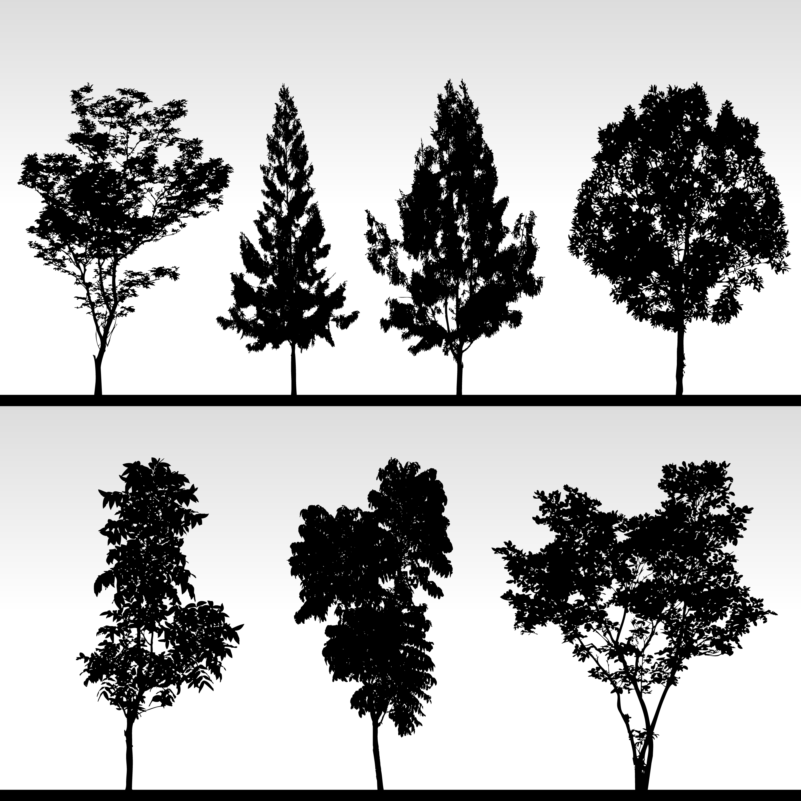 Download Tree Silhouette. - Download Free Vectors, Clipart Graphics ...