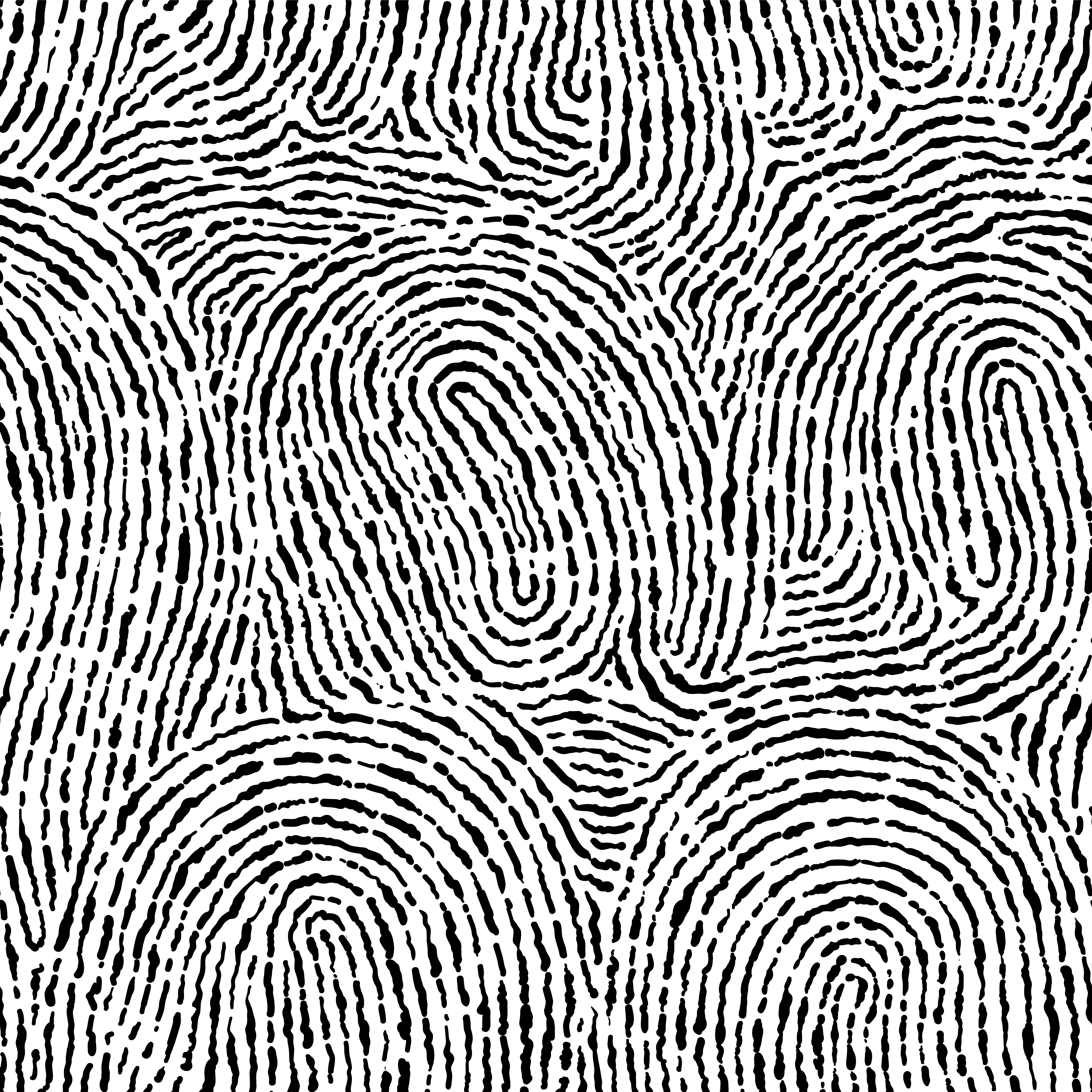 fingerprint fingerprint