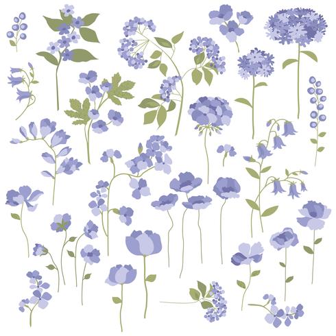 Hand Drawn Purple Flowers 340901 Vector Art at Vecteezy