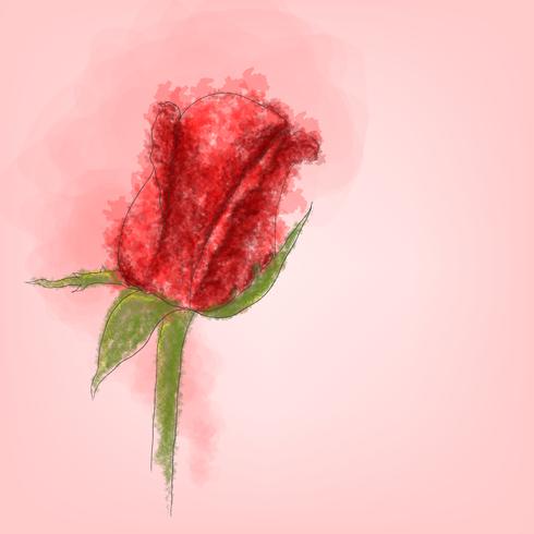 Single red rose vector with watercolor style