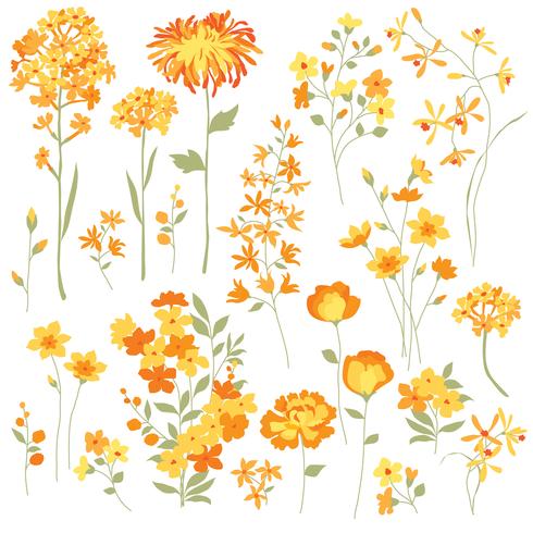 Hand Drawn Yellow Flowers vector