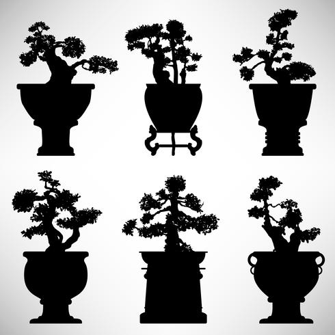 Bonsai Tree Plant Flower Pot Download Free Vectors Clipart Graphics Vector Art