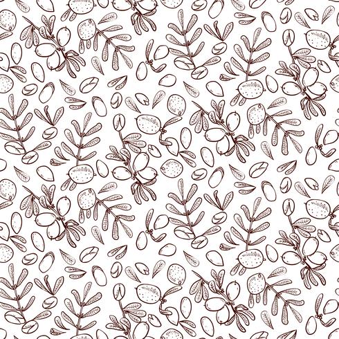 Seamless pattern Argan Oil vector