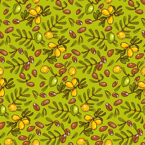 Seamless pattern Argan Oil vector