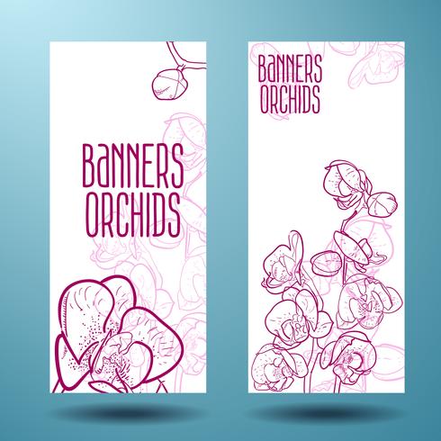 Orchids on the banner for design vector