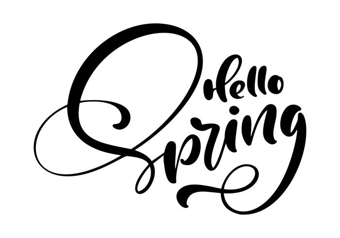 Calligraphy lettering phrase Hello Spring vector