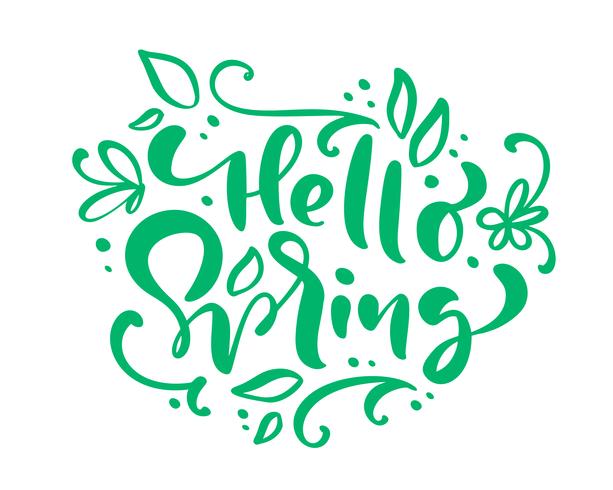 Hello Spring Calligraphy lettering phrase Hello Spring vector