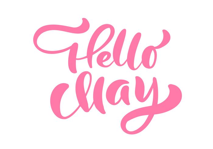 Pink Calligraphy lettering phrase Hello May vector