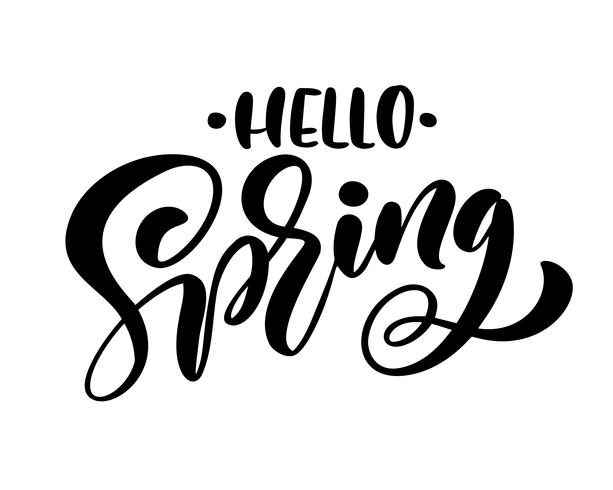 Calligraphy lettering phrase Hello Spring vector