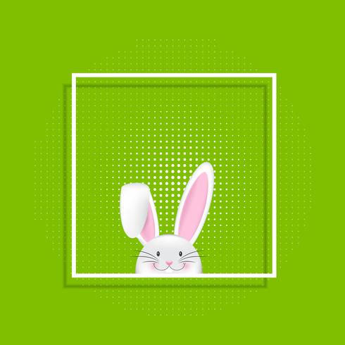 Easter bunny in white frame  vector