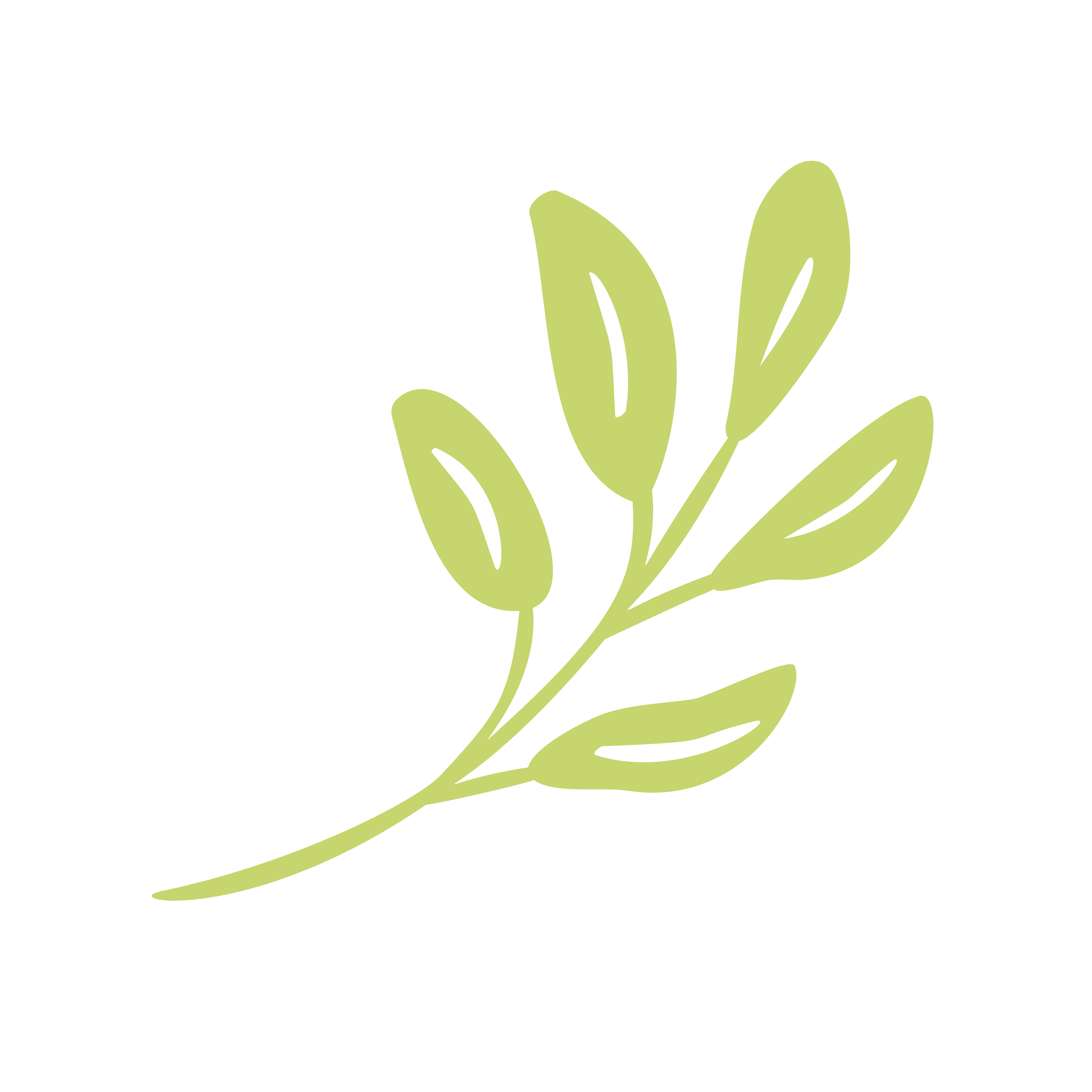 Vector flat abstract green plants flower herbs icon 342712 Vector Art