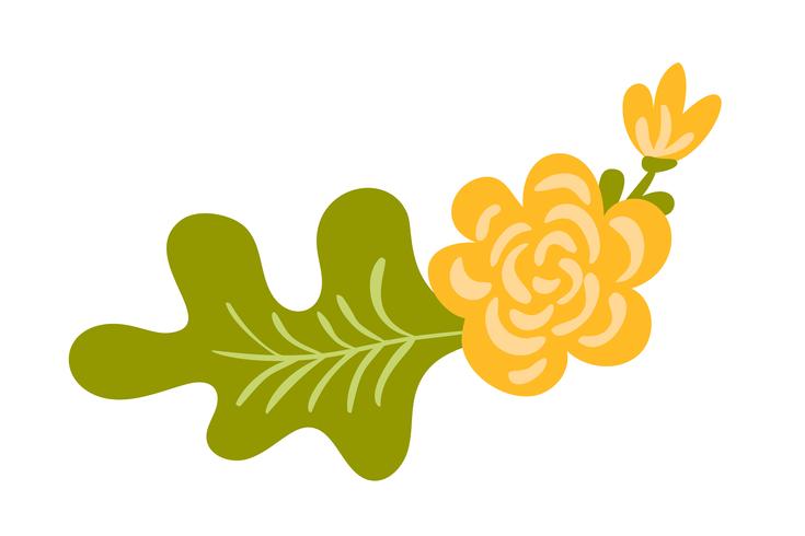 Vector isolated flat flower on white background