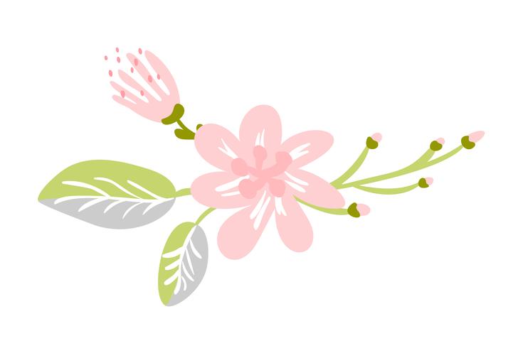 Vector isolated flat flower on white background