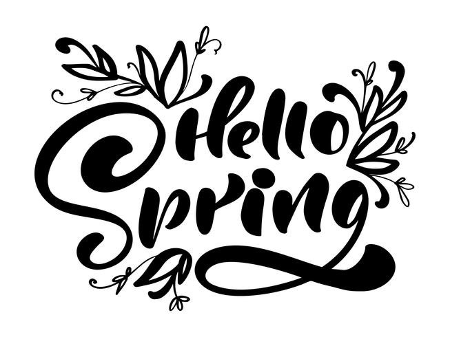 Calligraphy lettering phrase Hello Spring vector