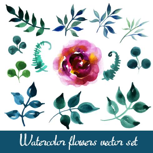 Conjunto de hermosas flores de acuarela vector