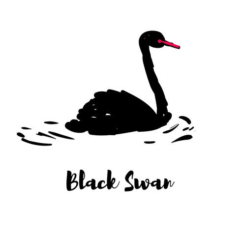 Silueta de un cisne negro. vector