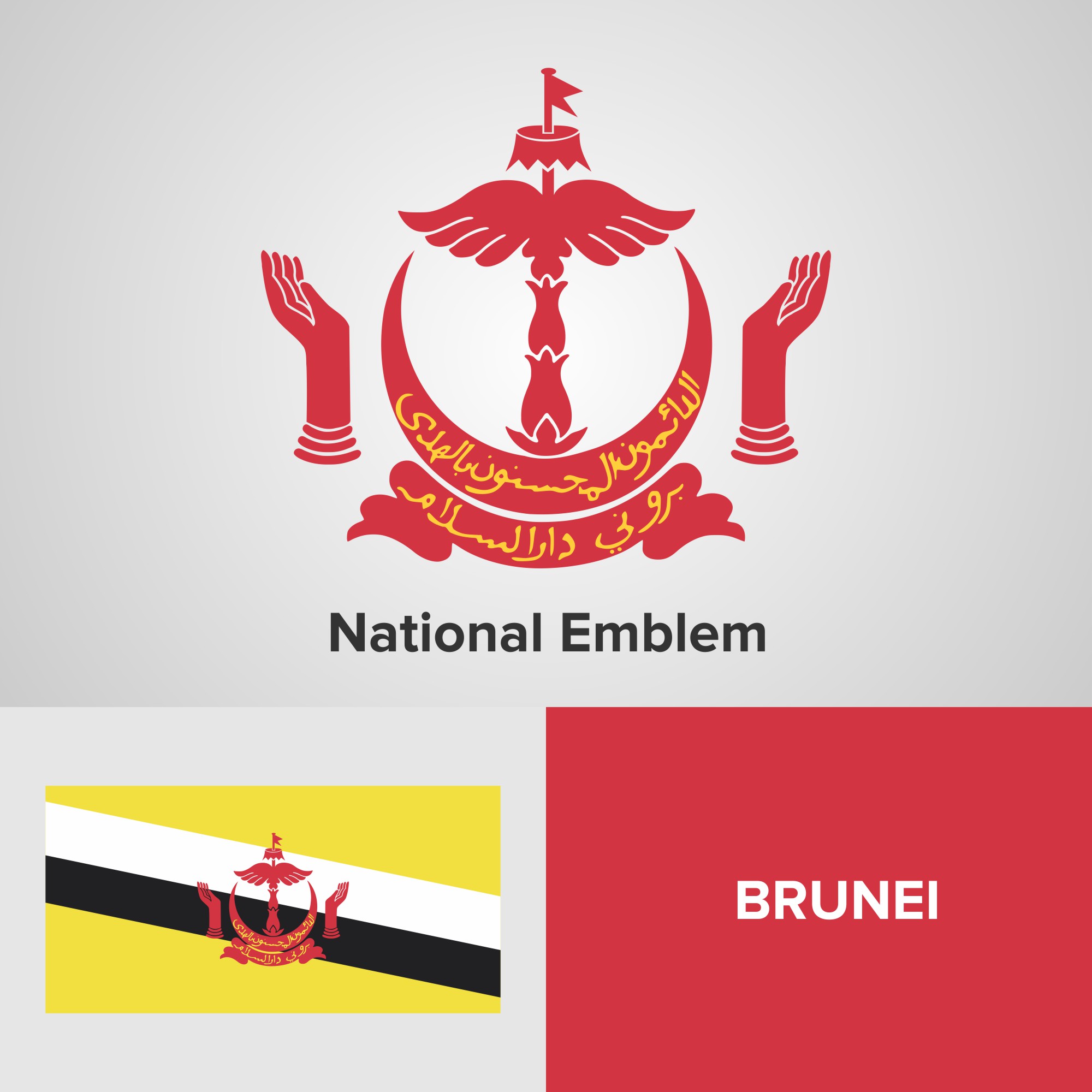 National Emblem, Map and flag - Download Free Vectors ...