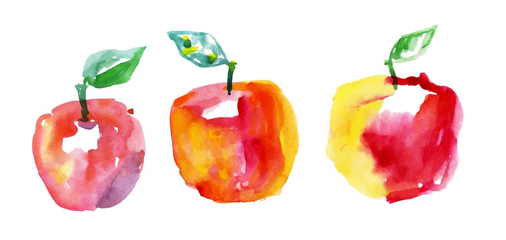  watercolor drawing apples vector