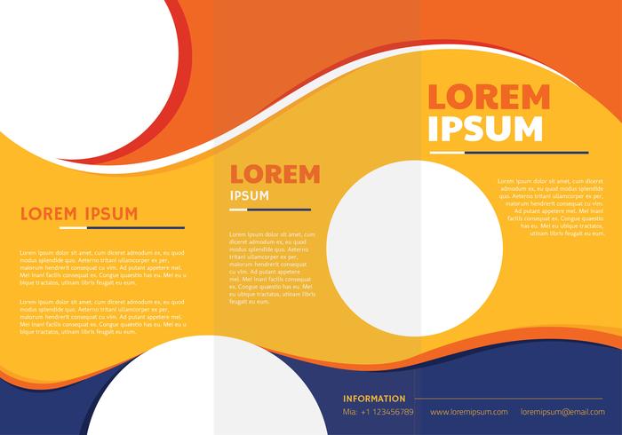 Trifold Brochure Template vector