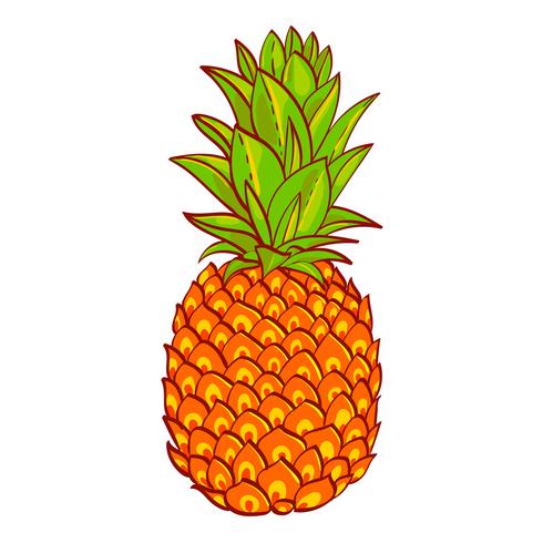 Pineapple. Hand drawn. Print on t-shirt vector