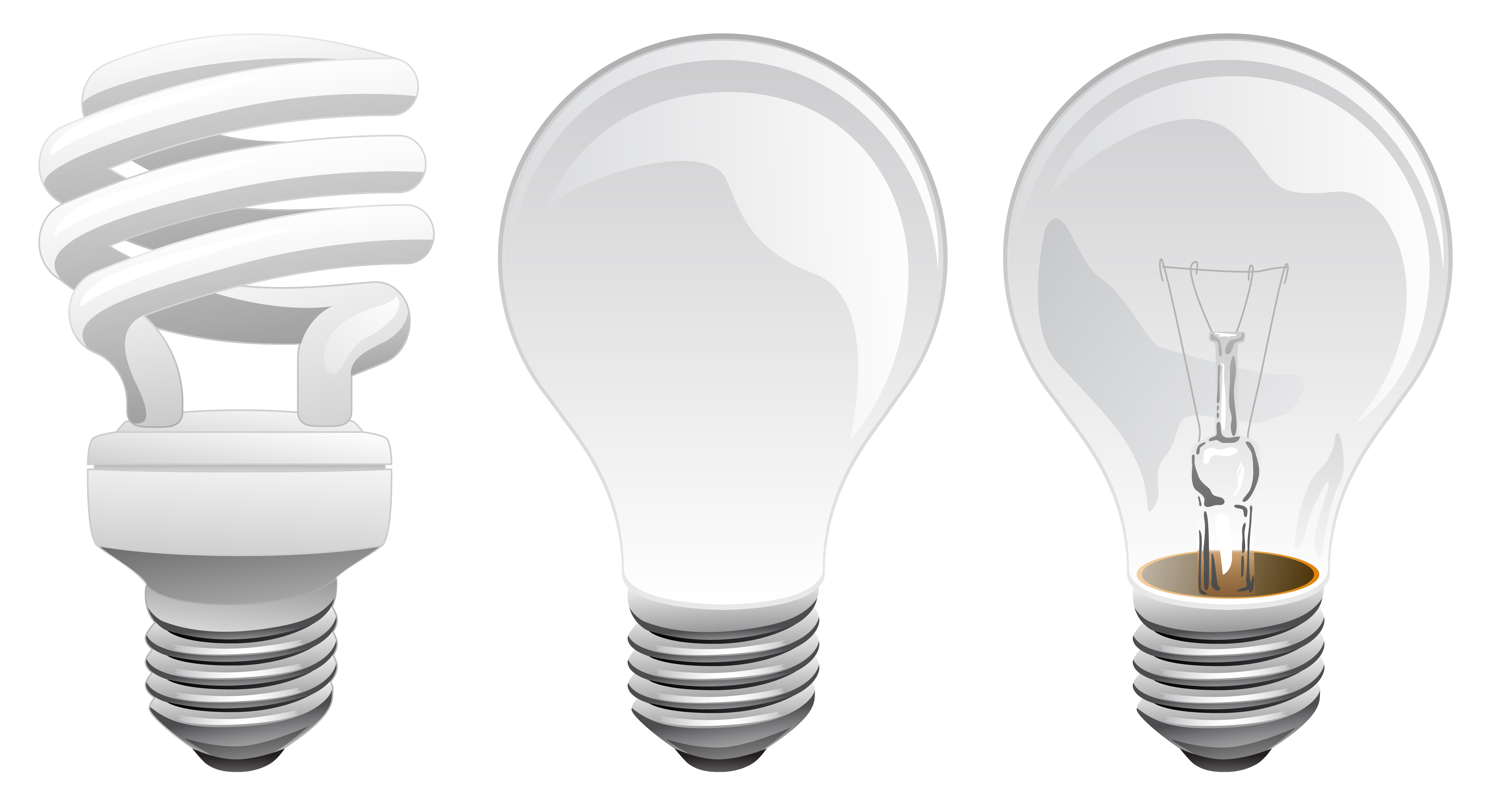 Led And Incandescent Light Bulbs Vector Illustration 345025 Vector Art