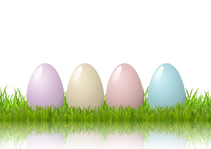 Easter eggs in grass on a white background