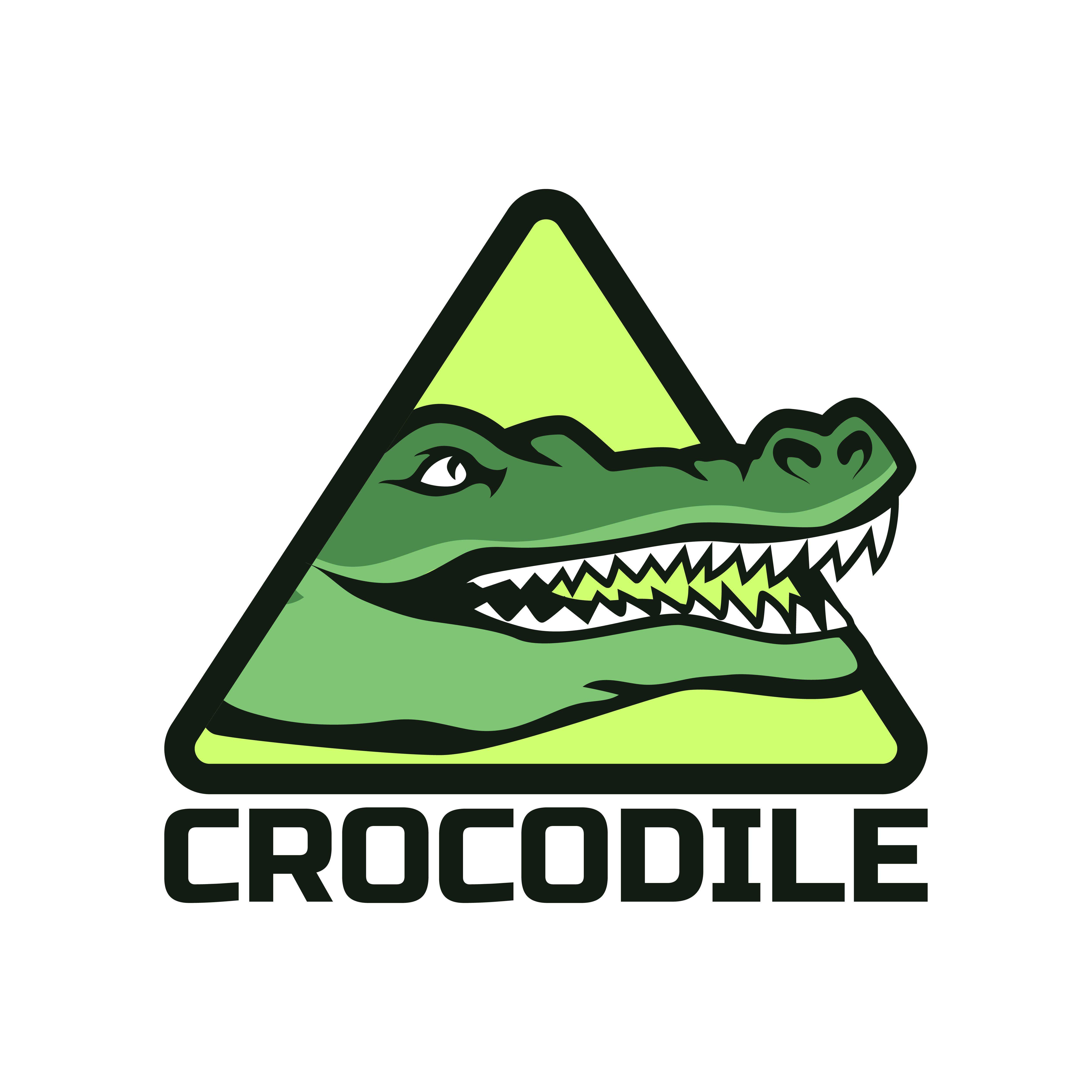 designer with alligator logo