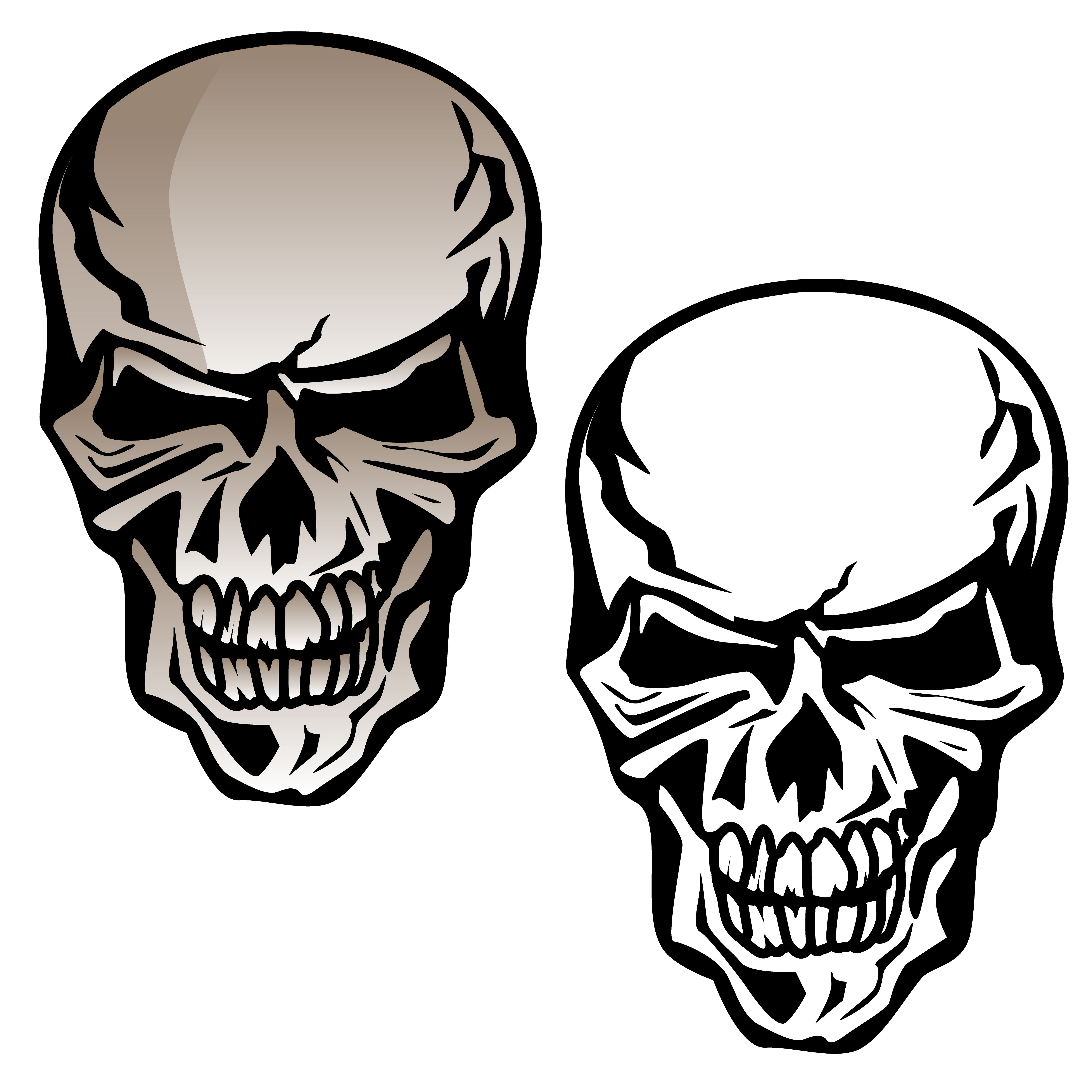 Download Human Skull Isolated Vector Illustration - Download Free ...