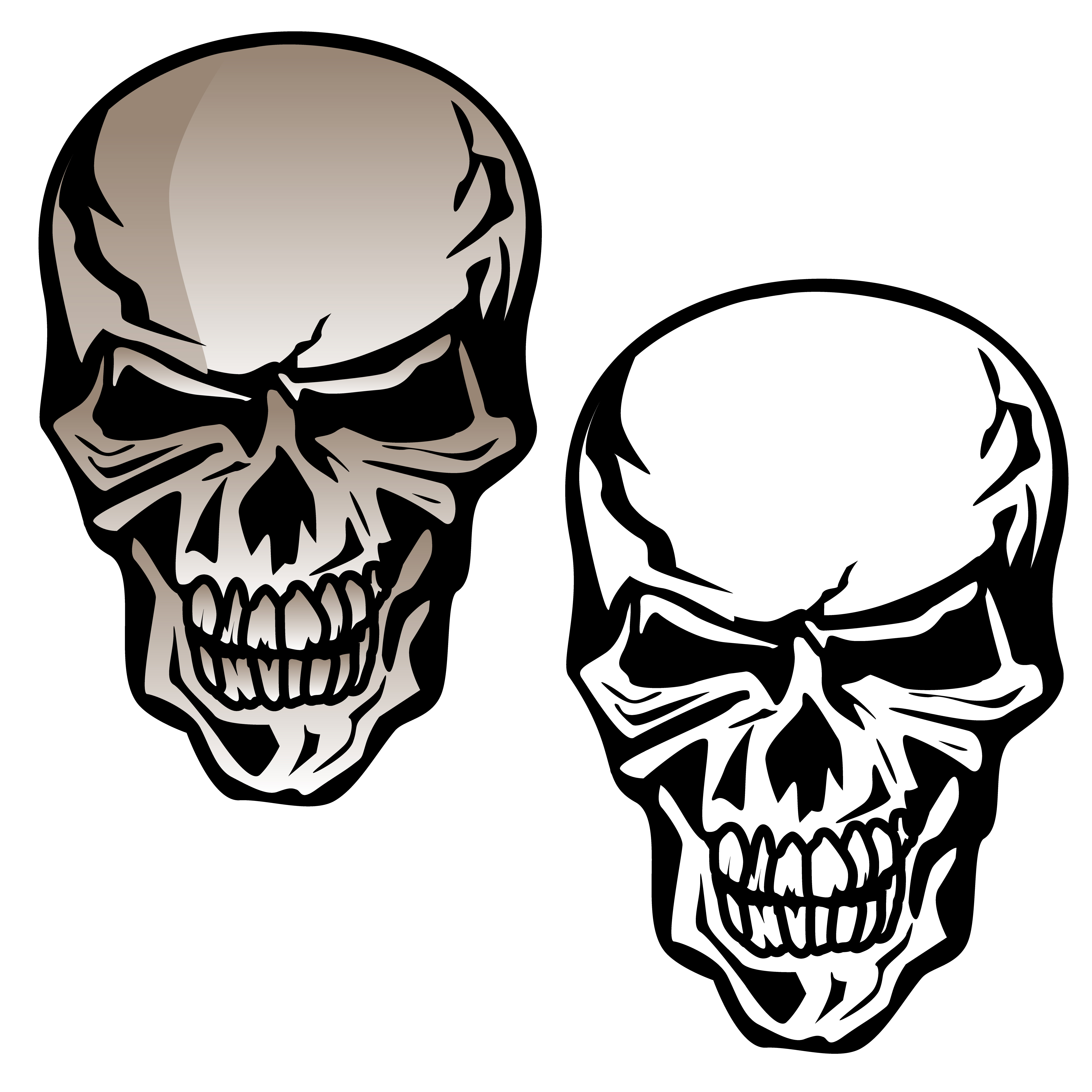 Human Skull Isolated Vector Illustration 345306 Vector Art At Vecteezy