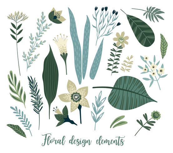 Vector floral design elements. Leaves, flowers, grass, branches, berries.