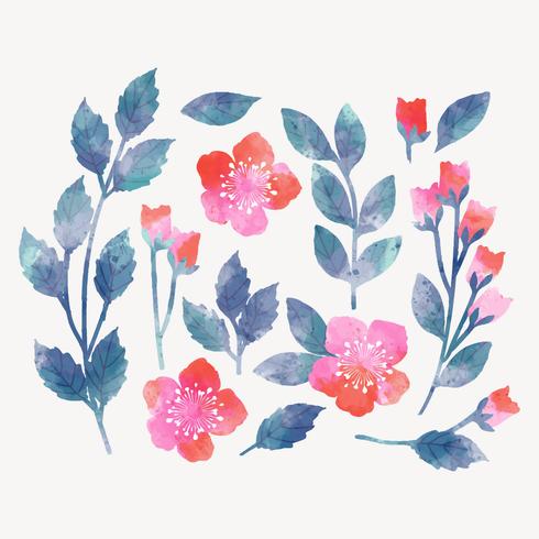 Vector Watercolor Floral Elements