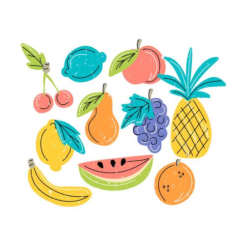 Vector mano dibujar frutas