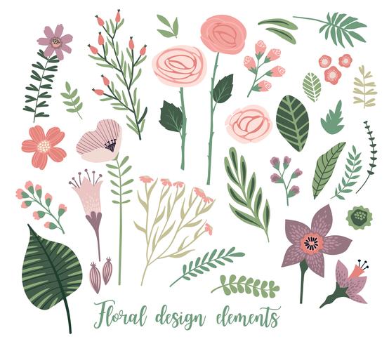 Vector floral design elements. Leaves, flowers, grass, branches, berries.