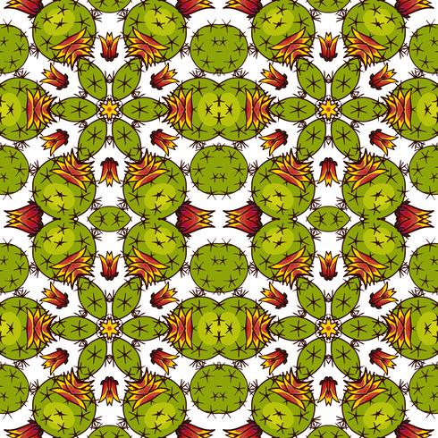 Kaleidoscope of succulents.  vector