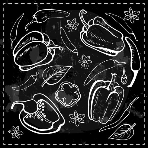 chilli, chili, pepper vegetables vector