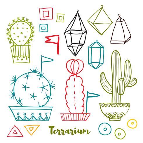 Cacti and succulents in pots.  vector