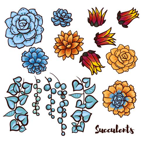 Succulents set  In the hand drawn style. vector