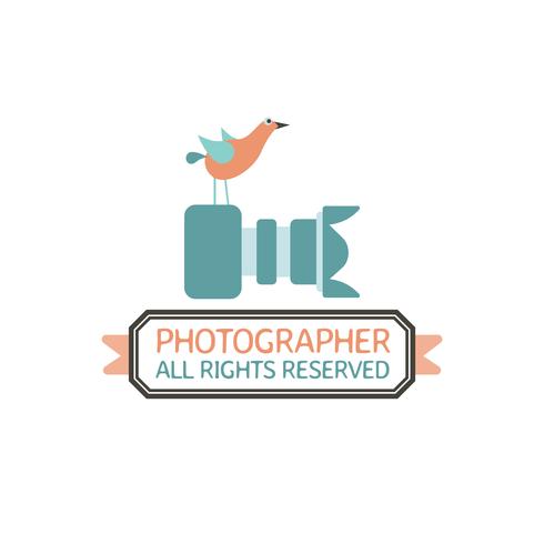 Photography Badges and Labels in Vintage Style vector