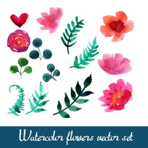 Conjunto de hermosas flores de acuarela vector