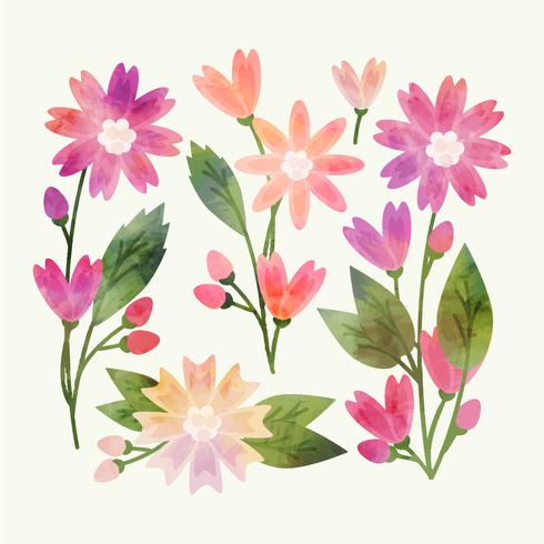 Vector Painted Flowers