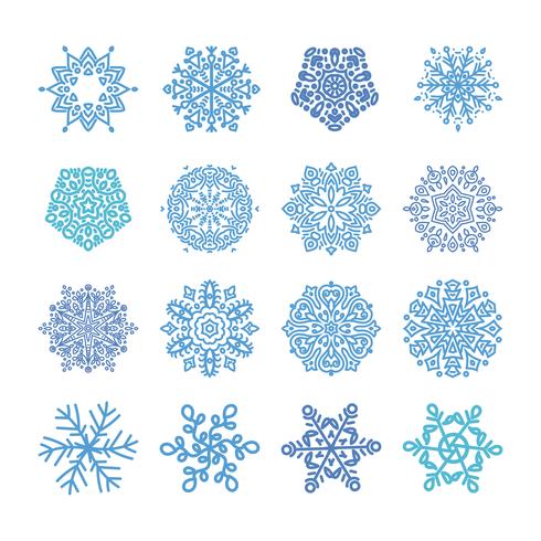 Various winter snowflakes  vector